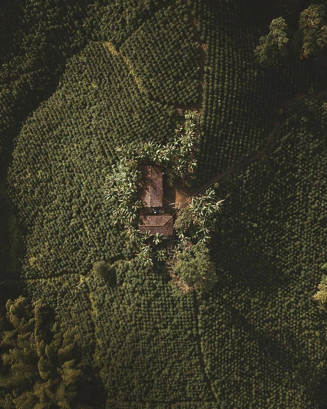 Finca cafetera en Garzón, Huila